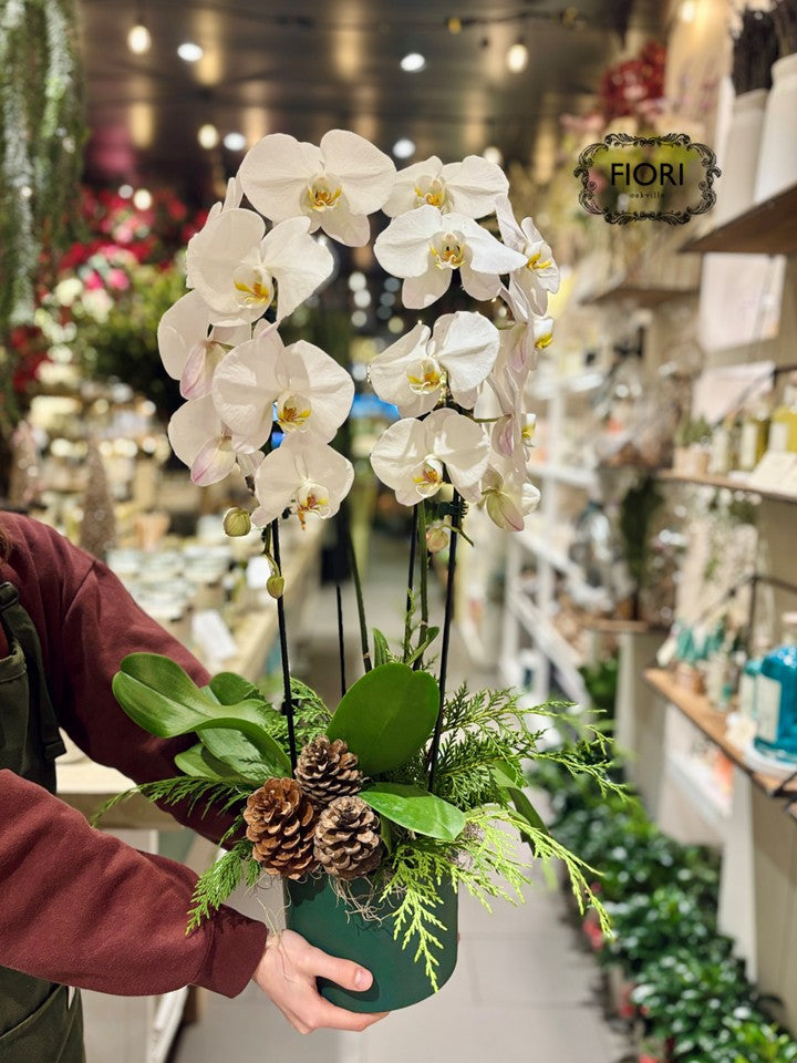 Pinecones & Orchids Garden Luxury