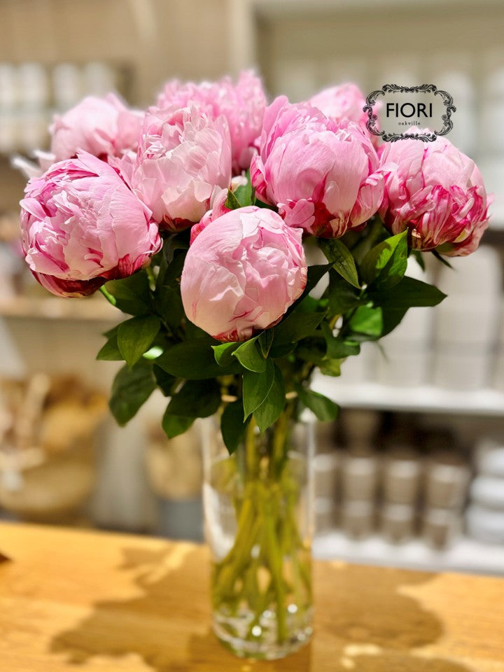 Sarah Bernhardt Pink Peony Bouquet in a VASE