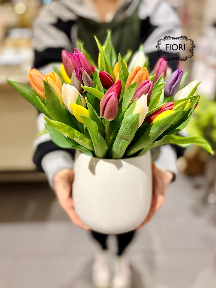 Rainbow Tulip in White Pottery - Signature