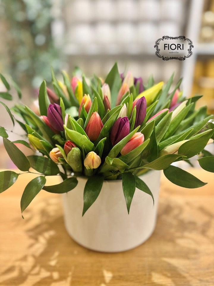 Rainbow Tulip in White Pottery - Luxury
