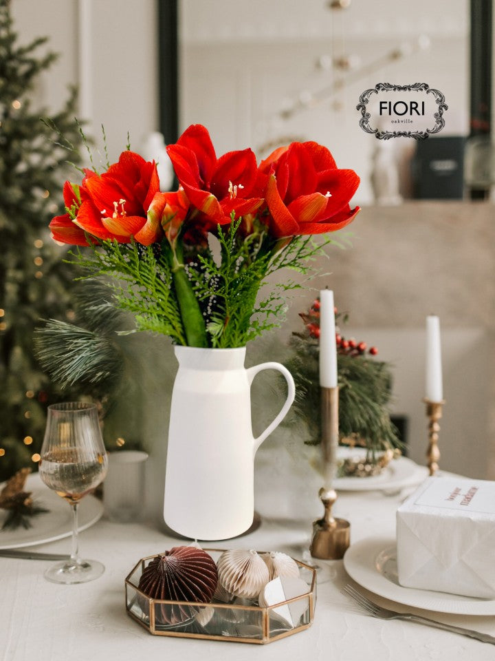 Toscana Farmhouse - Festive Amaryllis Pitcher