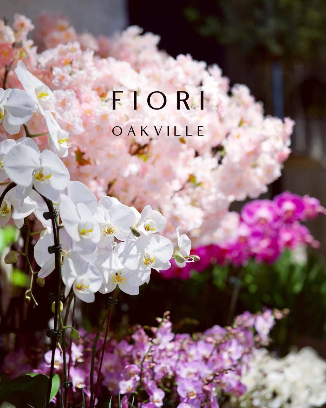Best Florist in Oakville. Order flowers online delivery Burlington Mississauga Milton Toronto Hamilton 