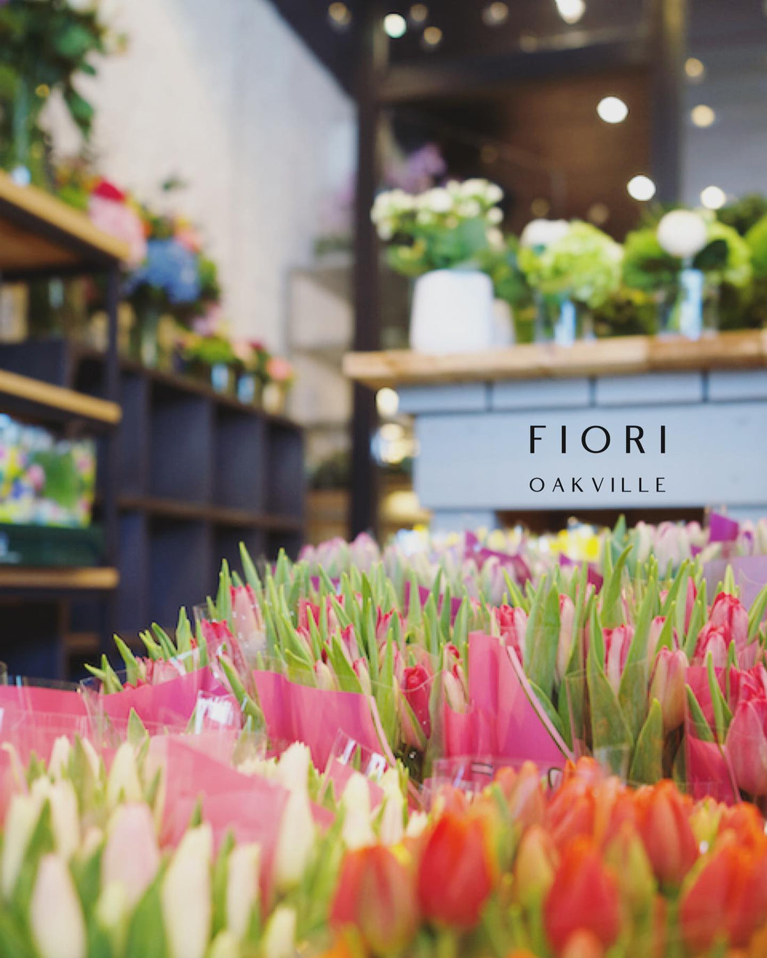 FIORI Oakville Florist. Order online for delivery in Oakville, Burlington, Mississauga, Milton, Hamilton and Toronto