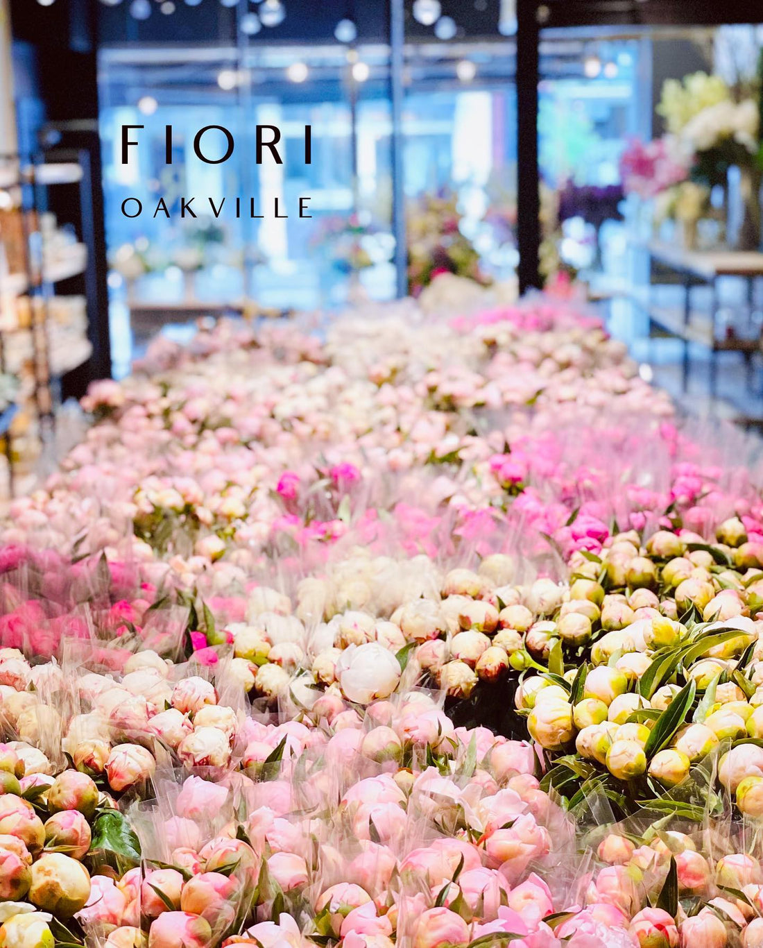 PEONY HEAVEN at FIORI Oakville🌸