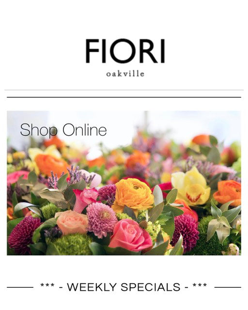 FIORI Oakville Florist - Shop flowers online delivery Burlington, Mississauga, Milton, Toronto