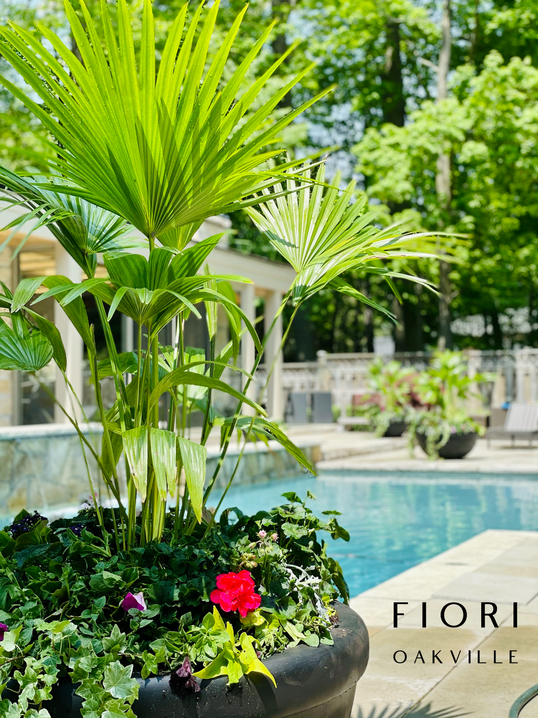 Outdoor planters. FIORI Oakville Florist Burlington Mississauga Toronto