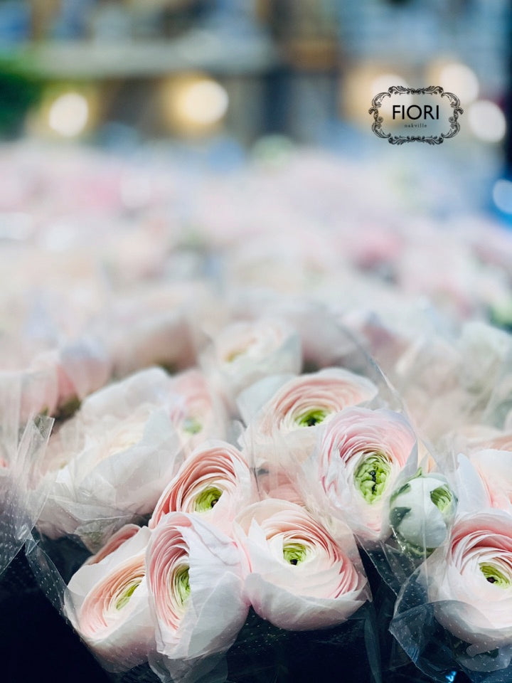 Fiori Oakville Florist. Send flowers for delivery Oakville, Burlington, Mississauga, Milton, Hamilton, Toronto areas