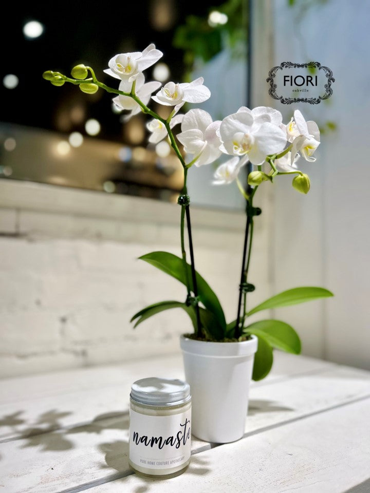 Calming Retreat - Orchid  & Candle Set