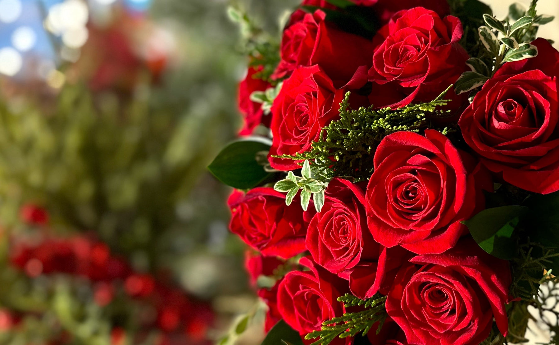 FIORI Oakville VOTED BEST FLORIST in Oakville Shop Flowers Online