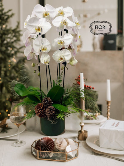 Pinecones & Orchids Garden Luxury