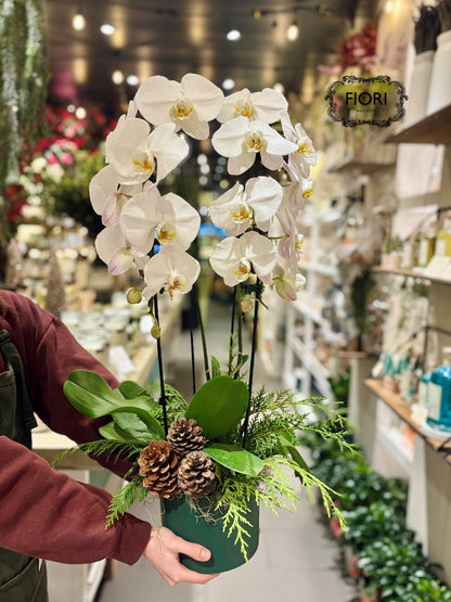 Pinecones & Orchids Garden Luxury