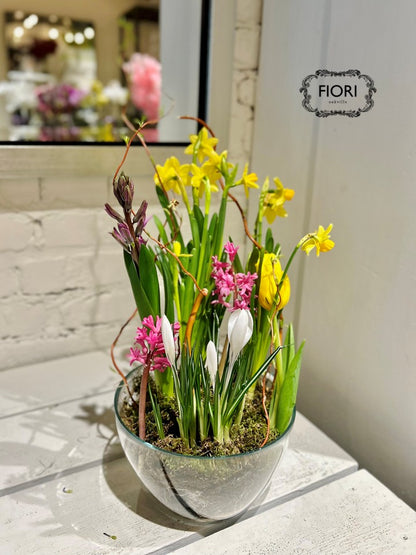 Promise of Spring - Bulb Garden