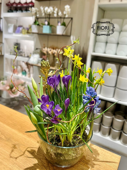 Promise of Spring - Bulb Garden