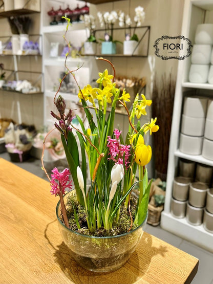 Promise of Spring - Bulb Garden