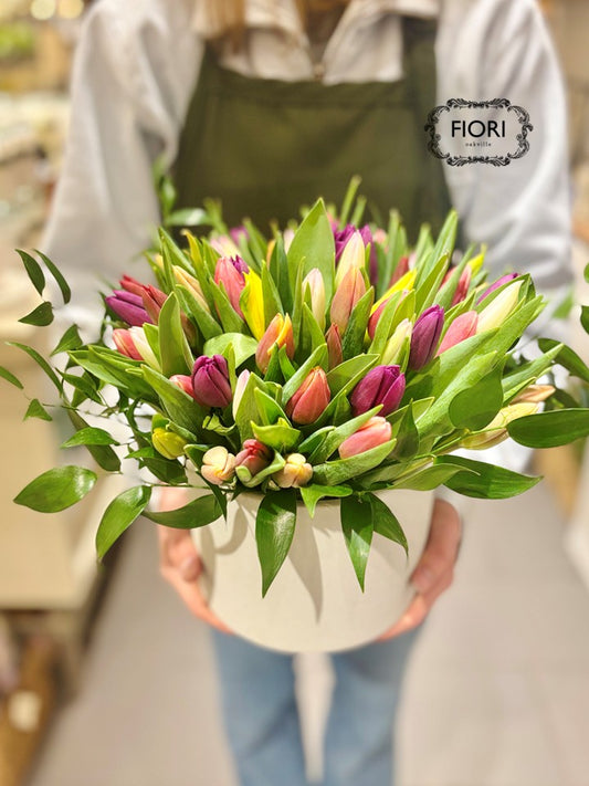 Rainbow Tulip in White Pottery