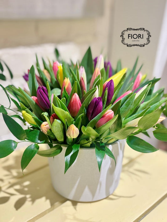 Rainbow Tulip in White Pottery - Luxury